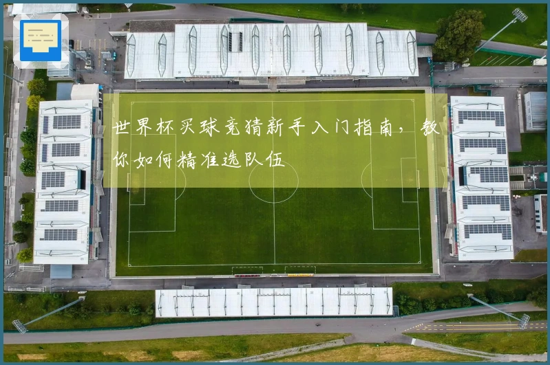 世界杯买球竞猜新手入门指南，教你如何精准选队伍