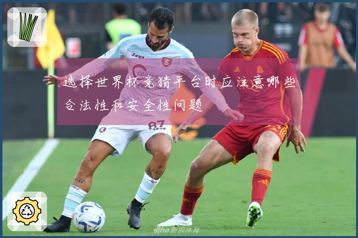 选择世界杯竞猜平台时应注意哪些合法性和安全性问题