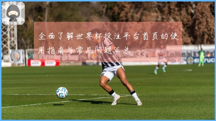 全面了解世界杯投注平台首页的使用指南与常见问题汇总