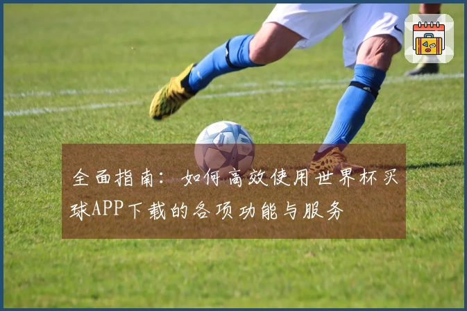 全面指南：如何高效使用世界杯买球APP下载的各项功能与服务