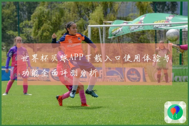 世界杯买球APP下载入口使用体验与功能全面评测分析