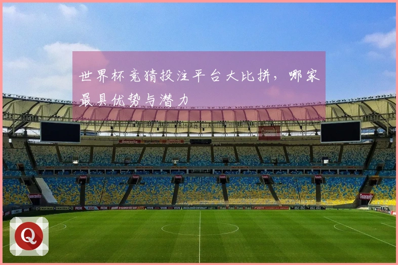 世界杯竞猜投注平台大比拼，哪家最具优势与潜力