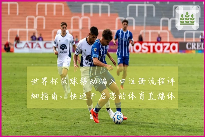 世界杯买球移动端入口注册流程详细指南,快速开启您的体育直播体验