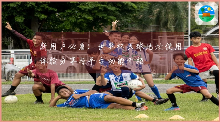 新用户必看：世界杯买球地址使用体验分享与平台功能介绍