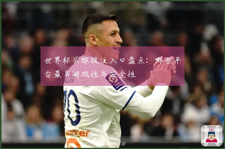 世界杯买球投注入口盘点：哪些平台最具游戏性与安全性