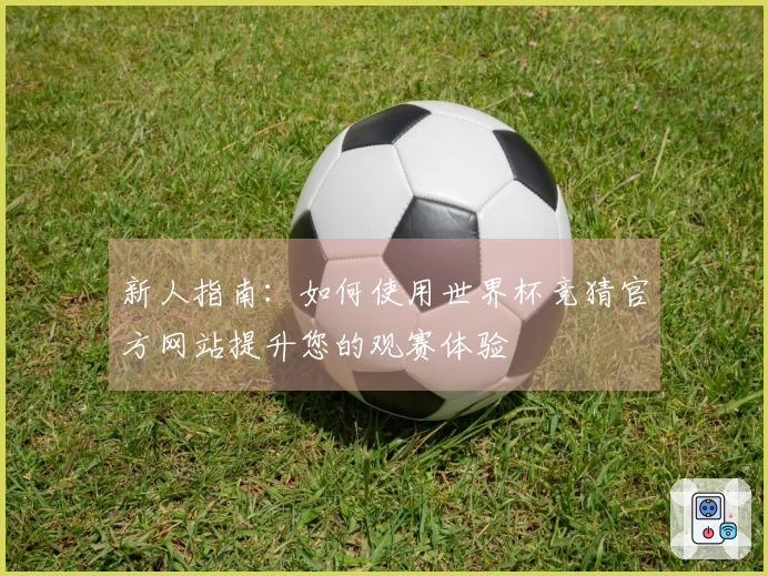 新人指南：如何使用世界杯竞猜官方网站提升您的观赛体验