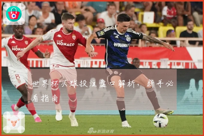 世界杯买球投注盘口解析，新手必看指南