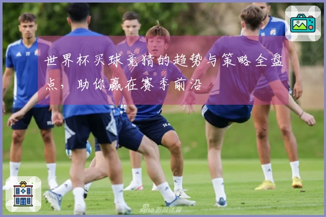 世界杯买球竞猜的趋势与策略全盘点，助你赢在赛季前沿