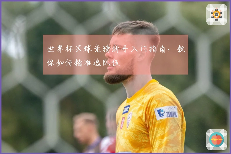 世界杯买球竞猜新手入门指南，教你如何精准选队伍