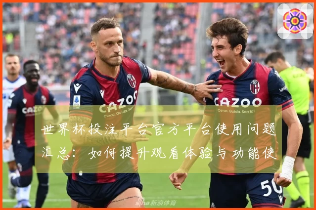 世界杯投注平台官方平台使用问题汇总：如何提升观看体验与功能使用指南