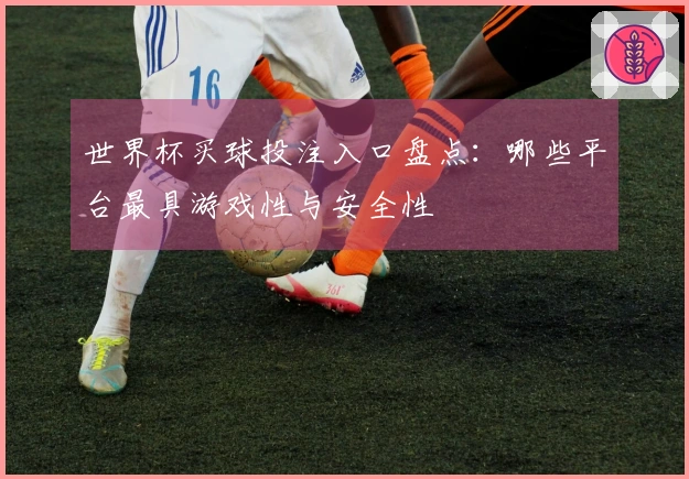 世界杯买球投注入口盘点：哪些平台最具游戏性与安全性