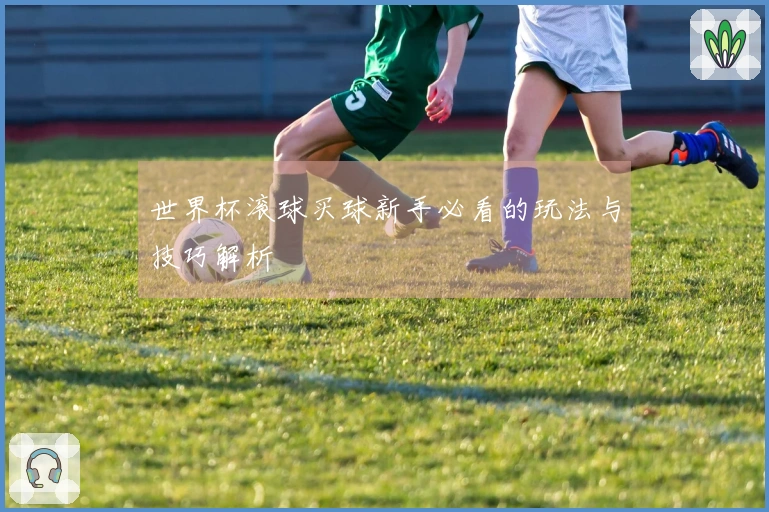 世界杯滚球买球新手必看的玩法与技巧解析