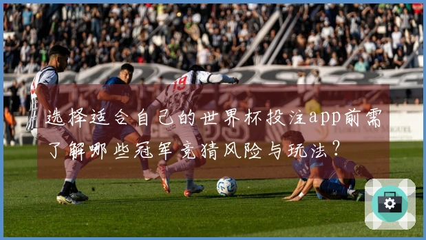 选择适合自己的世界杯投注app前需了解哪些冠军竞猜风险与玩法?