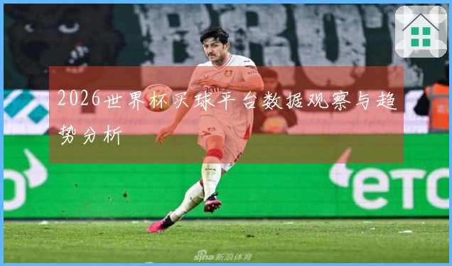 2026世界杯买球平台数据观察与趋势分析