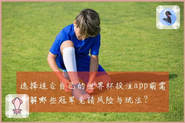 选择适合自己的世界杯投注app前需了解哪些冠军竞猜风险与玩法？