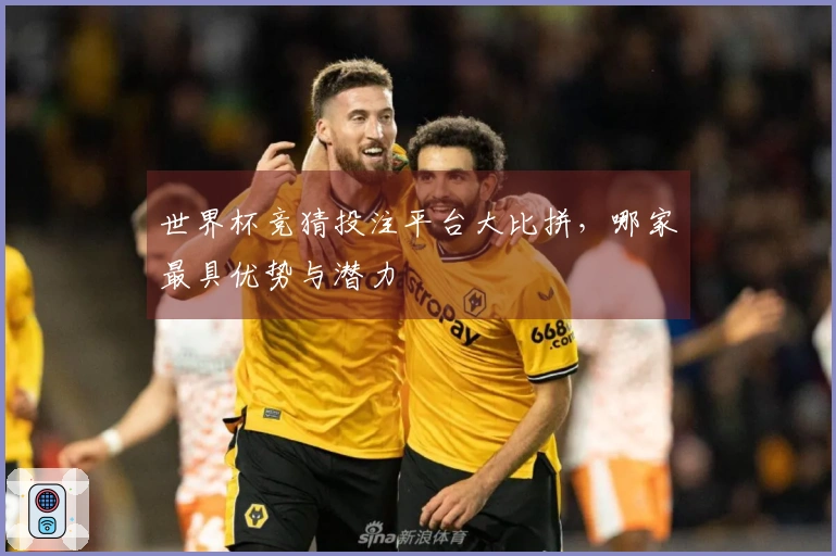 世界杯竞猜投注平台大比拼，哪家最具优势与潜力