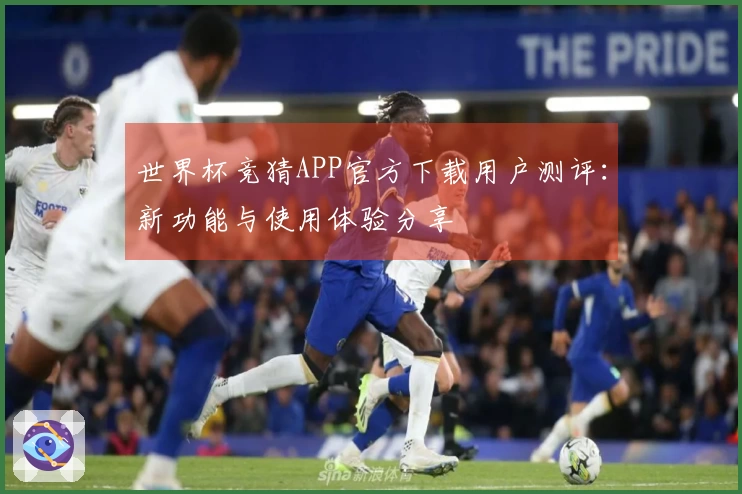 世界杯竞猜APP官方下载用户测评：新功能与使用体验分享